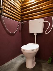 a bathroom with a toilet in a room at Sholanest Mud House and Farm Stay in Vattavada Near Munnar in Vattavada