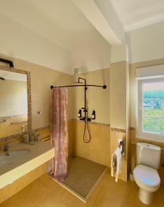 a bathroom with a shower and a toilet and a sink at A Casa Amodiño in O Freixo +32 photos