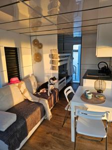 a living room with a dog sitting on a couch at Houseboat Bella in Tereszewo