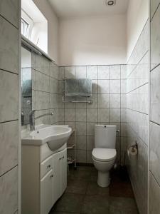 a bathroom with a toilet and a sink at Bauska Old Town Apartments in Bauska