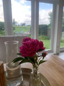 a vase with a purple flower sitting on a table at Schleihaus Lorenz mit Feldblick in Boren