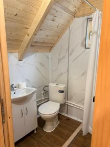 a bathroom with a toilet and a sink at KOMOVI - Dream house - 2 in Andrijevica