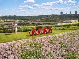 a group of red chairs in a field of flowers at Fairmont Hotel Macdonald in Edmonton