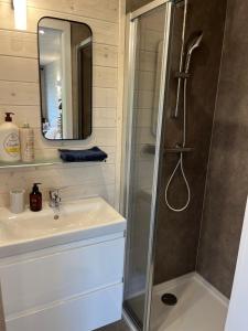 a bathroom with a shower and a sink at Le Lodge de la Course in Beussent +8 photos