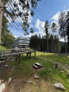 a bridge with a building in the middle of a field at Rifugio Artuik 1400 in Marilleva