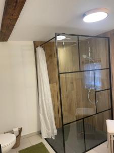 a glass shower in a bathroom with a toilet at FEWO Blockstube Frieda in Kottmar