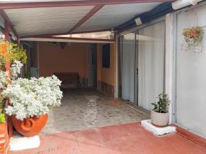a patio with potted plants on the side of a building at Hostel Familiar Estudiantil in Montevideo