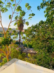 a view of the water and trees with a bench at Nubian kingdom in Aswan