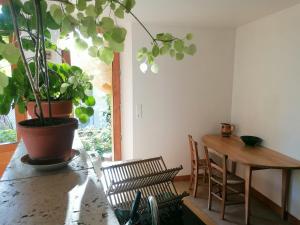 a room with a table with a potted plant on it at Douceur des bois du Quercy in Montcuq