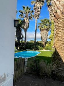 a swimming pool in a yard with palm trees at La Vereda - Rural getaway, pool, golf & hiking lovers in Tacoronte