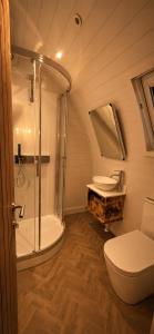 a bathroom with a shower and a toilet and a sink at Leisure Lodges in Glastonbury +43 photos