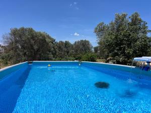 a large blue swimming pool with trees in the background at Domus Olea Glamping in Ceglie Messapica