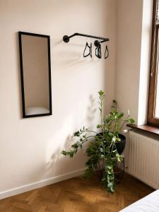 a mirror on a wall with plants in a room at Hotel Gryf in Gryfice