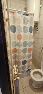 a bathroom with a shower curtain with a toilet at Apartments Hugo in Malinska