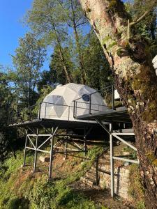 a tree house built on a tree trunk at Devshal Eco-Stays in Gupta Kāshi