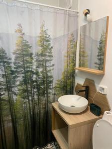 a bathroom with a shower curtain and a sink at Apartament Tudor in Făgăraş +11 photos