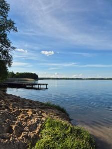 a view of a lake with a dock at Domek pod Wierzbami in Leleszki