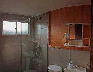 a bathroom with a shower and a toilet and a sink at Cabaña Río Blanco in Curacautín