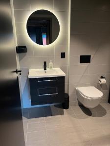 a bathroom with a sink and a toilet and a mirror at New! Mountain apartment close to Hardangervidda in Eidfjord +10 photos