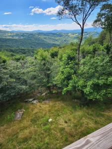 a view from the top of a hill with trees at Resting on the Ridge in Beech Mountain
