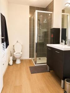 a bathroom with a toilet and a shower and a sink at Apprt la teste de buch in La Teste-de-Buch
