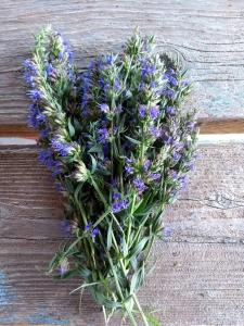 a bouquet of purple flowers on a wooden table at L'Hysope Gap, Maison d'hôtes contemporaine avec vue in Gap +25 photos