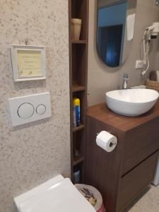 a bathroom with a sink and a toilet and a mirror at Villa Domic in Slatine +44 photos