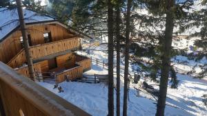 una cabaña de madera en el bosque en la nieve en Apartmaji Golob-Golte en Mozirje