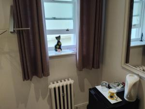 a window with a cat toy sitting on a radiator at Number Four in Brighton & Hove