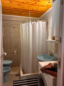 a bathroom with a white shower curtain and a toilet at Ljubav Stara Zaovine in Lazići +80 photos