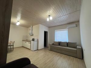 a living room with a couch and a kitchen at Nishkoiu Apartamente in Solotvyno
