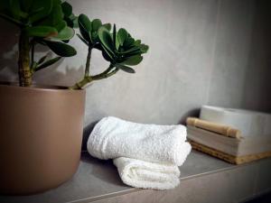 a plant and a towel on a counter next to a vase at Canva Living in Xanthi +72 photos