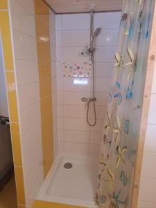 a shower with a shower curtain in a bathroom at Sušice - prázdninový dům in Sušice +7 photos
