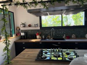 a kitchen with a sink and a stove top oven at Chambre du petit bois in Montceaux