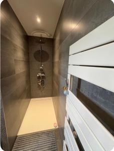 a bathroom with a walk in shower and a sink at Chambre du petit bois in Montceaux