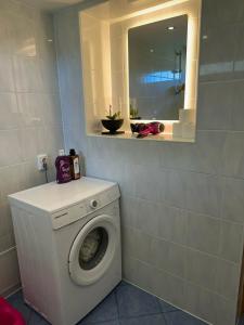 a washing machine in a bathroom with a mirror at Tähe majutus in Mustvee