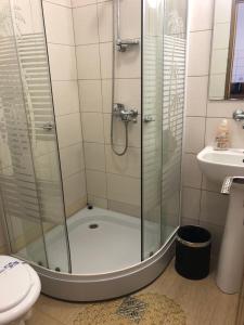 a shower in a bathroom with a toilet and a sink at Pensiunea Diskret in Sovata +69 photos