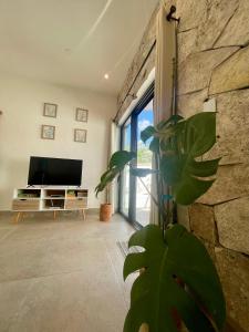 a living room with a television and a stone wall at Casa Arena Cozumel in Cozumel