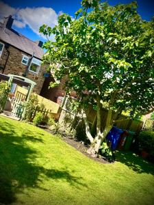 a tree in a yard in front of a house at Village Cottage Marple in Marple