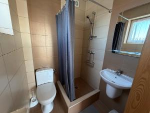 a small bathroom with a toilet and a sink at Flota in Ostrowo +21 photos