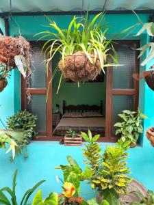 a room with plants on the wall at Casa Tuta in Ciudad Vieja +27 photos