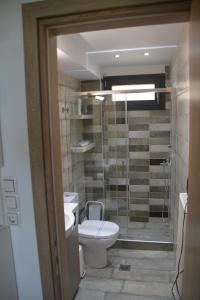 a bathroom with a toilet and a glass shower at Thalantheia House in Agios Konstantinos +38 photos
