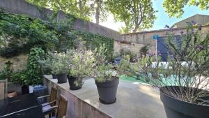 a group of potted plants sitting on a patio at Characterful house with private pool in Paulhan in Paulhan