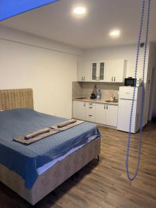 a room with a bed and a kitchen with a hose at Alex apartment Bar in Bar