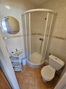 a bathroom with a shower and a toilet and a sink at Margaretka in Łeba +32 photos
