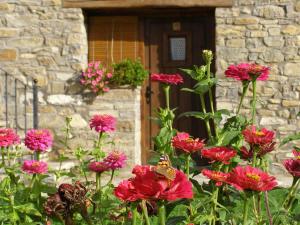 Zahrada ubytování Apartamentos La Borda Castillon