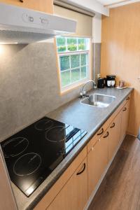 a kitchen with a sink and a stove top oven at Vienna in Dronrijp +15 photos