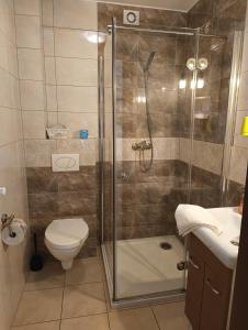 a bathroom with a shower and a toilet at Pensjonat Ślepowron in Międzywodzie +37 photos