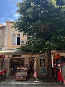 a store with a tree in front of a building at Just a Hostel in Sozopol