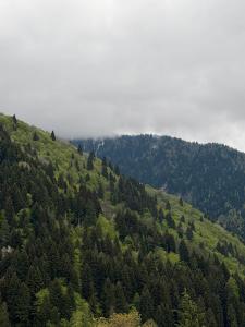 a green hillside with trees and clouds on it at Malina Utsera in Oni